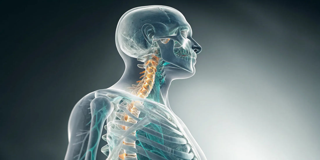 Compressed Nerve Healing Signs: What to Expect