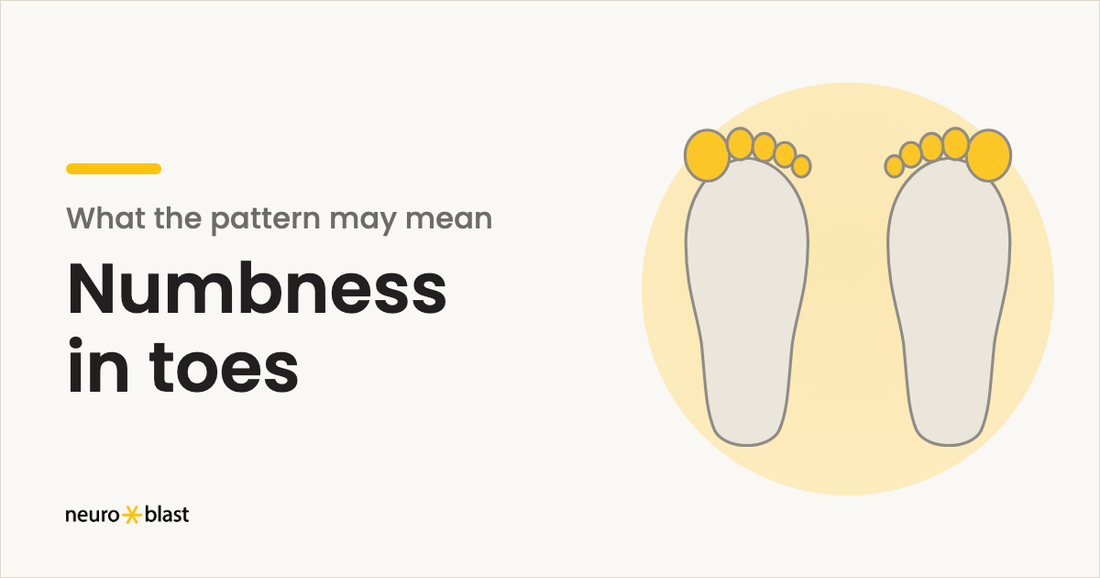Article cover: illustration of two feet with all toes highlighted, titled Numbness in toes.