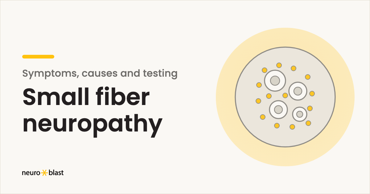 Article cover: illustration of a nerve cross-section with small fibers highlighted, titled Small fiber neuropathy.