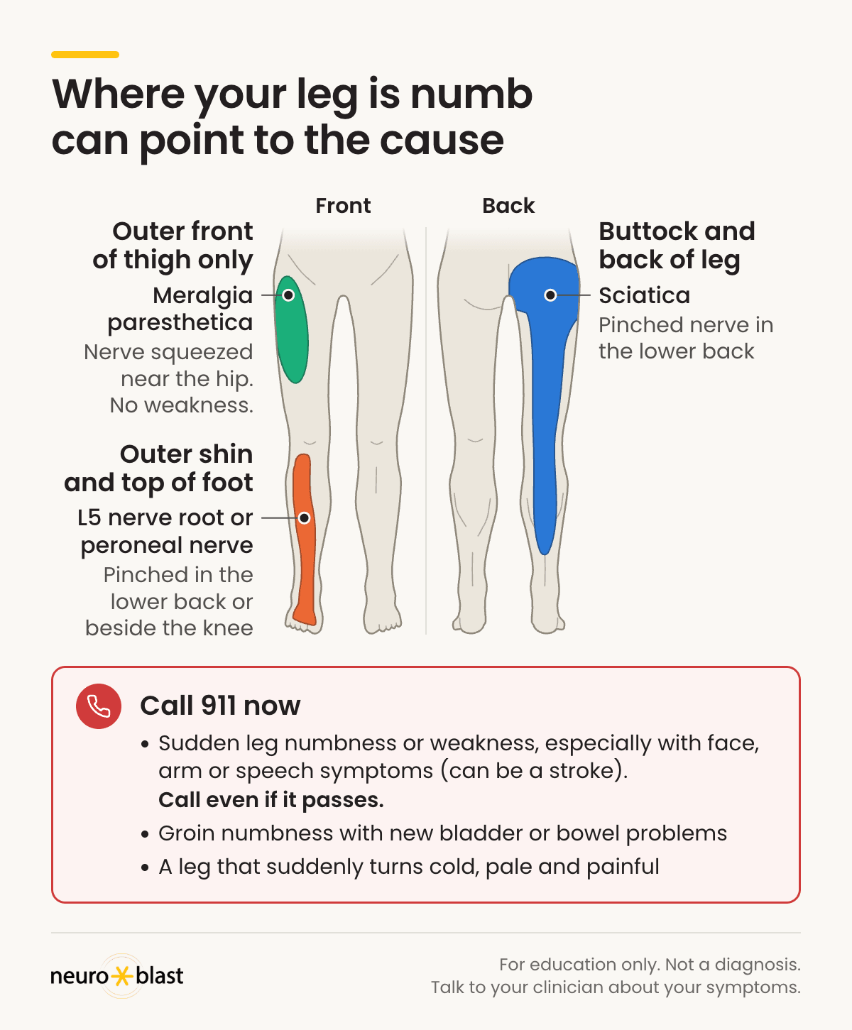 Leg map, front and back: outer front of thigh, meralgia paresthetica; outer shin and top of foot, L5 root or peroneal nerve; buttock and back of leg, sciatica. Call 911 even if it passes: sudden leg numbness or weakness, groin numbness with new bladder or bowel changes, or a cold, pale, painful leg.