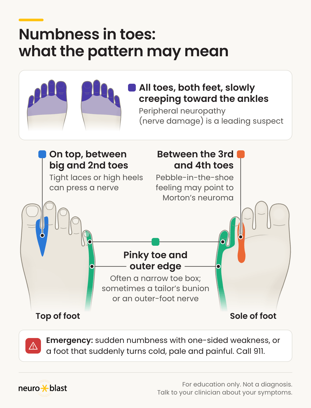 Foot map of numbness in toes: all toes, both feet, creeping toward the ankles (neuropathy is a leading suspect); top between big and 2nd toes (tight laces, high heels); 3rd-4th toes (may be Morton's neuroma); pinky and outer edge (often a narrow toe box, sometimes a tailor's bunion or an outer-foot nerve). Call 911 for sudden numbness with one-sided weakness or a cold, pale, painful foot.